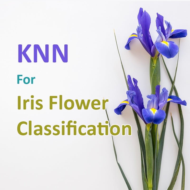 K-Nearest Neighbors (KNN) For Iris Classification Using Python