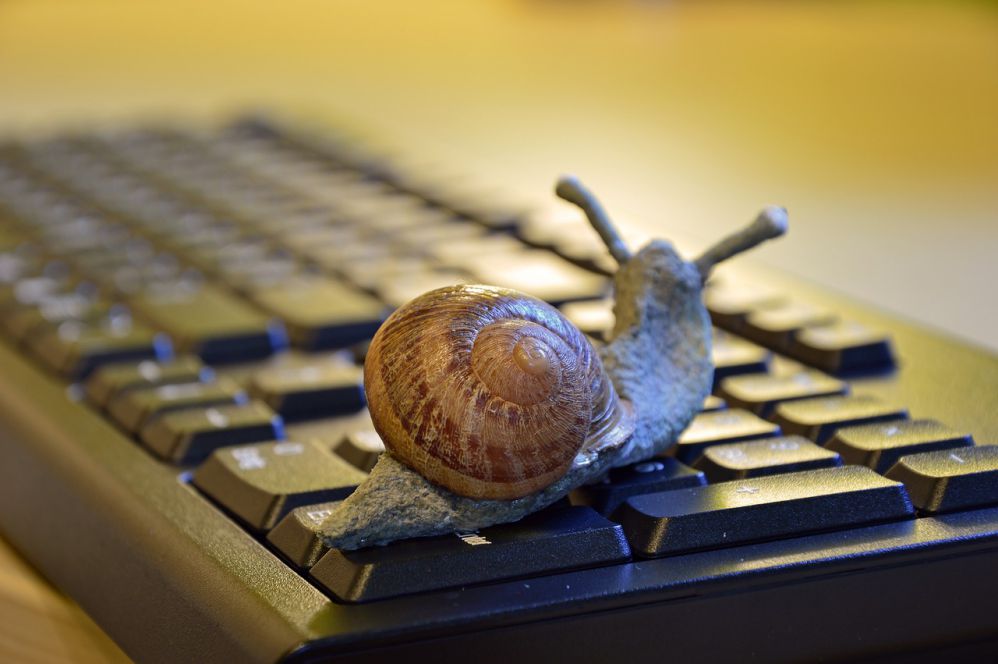 WordPress: Speed-up The Typing Response in Gutenberg